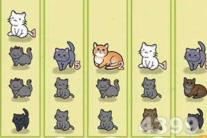 168极速赛车平台