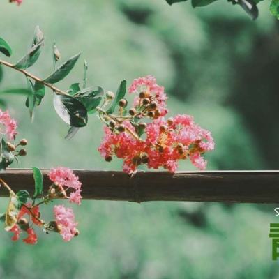 星空体育app下载手机版