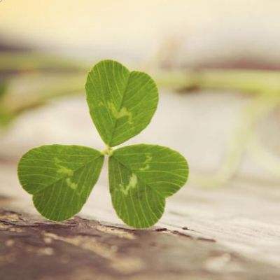 电玩城金鲨银鲨下载手机版