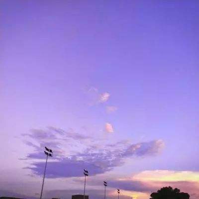 狗万manbetapp下载