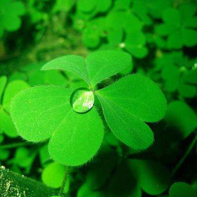 乐鱼官网手机版下载手机版